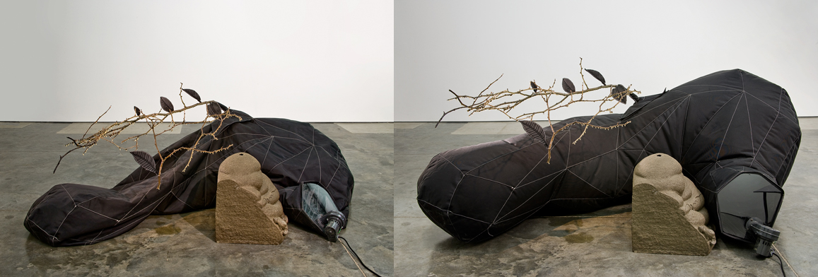 Black Hive 2010